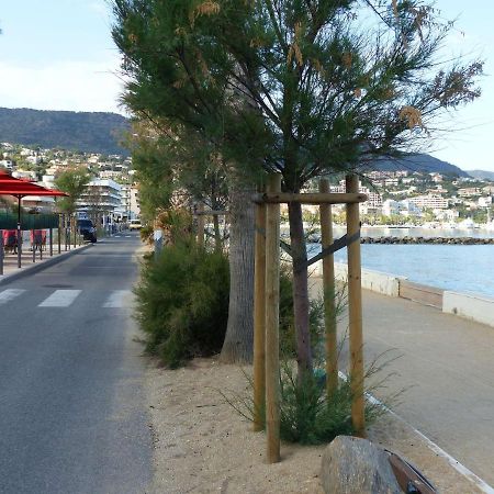 Studio Cosy Avec Tv Et Cuisine Equipee, Bord De Mer Le Lavandou - Fr-1-308-34 エクステリア 写真
